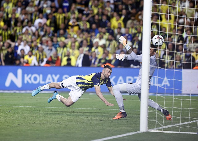 尼克斯队在 尼克斯队在