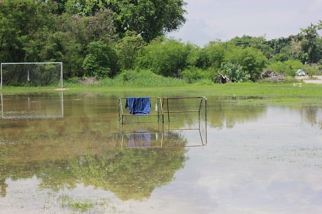 熟與智慧 熟與智慧