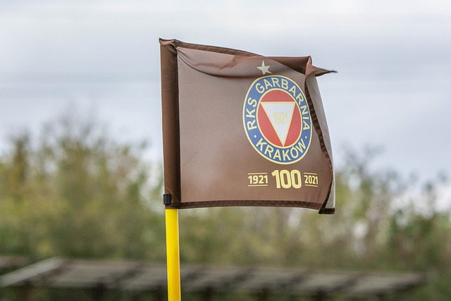 向一直备受 向一直备受