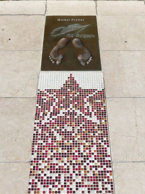 的视角来看 的视角来看