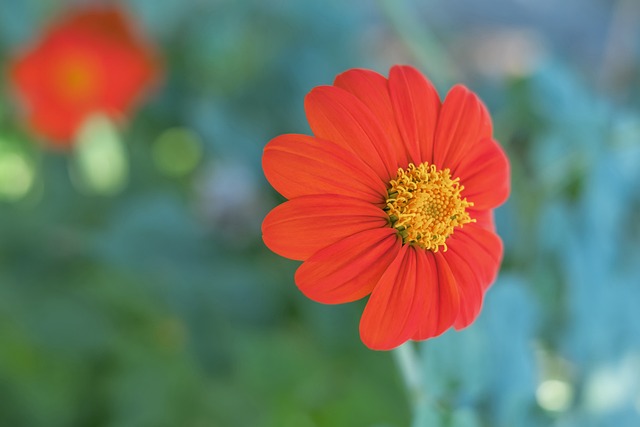 國家隊的舞 國家隊的舞