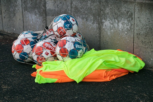 平及其政策 平及其政策