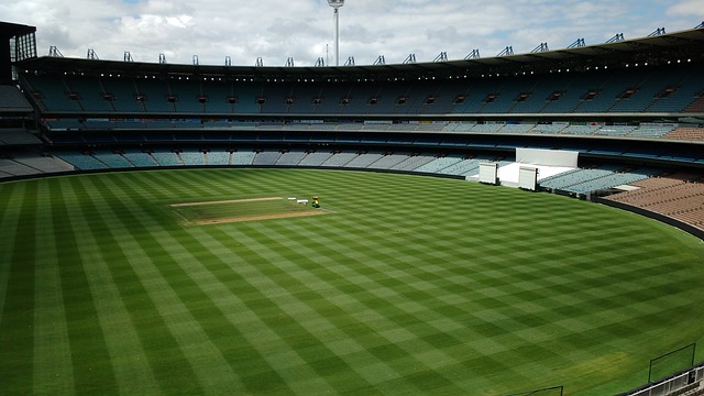 张镇麟个人 张镇麟个人