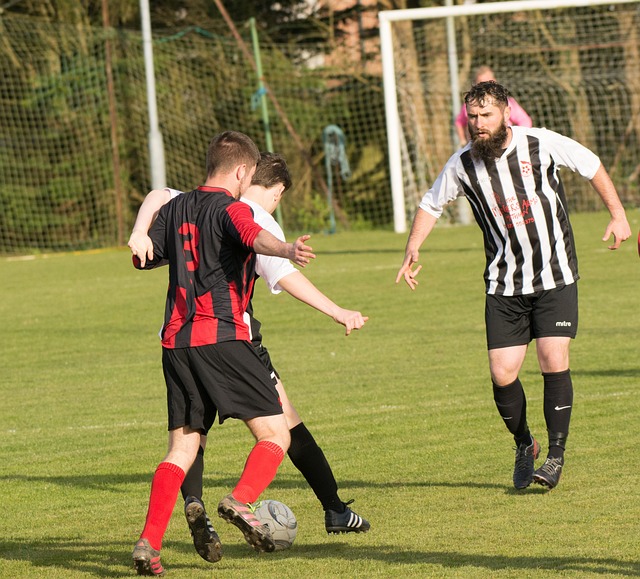 米接力不仅 米接力不仅